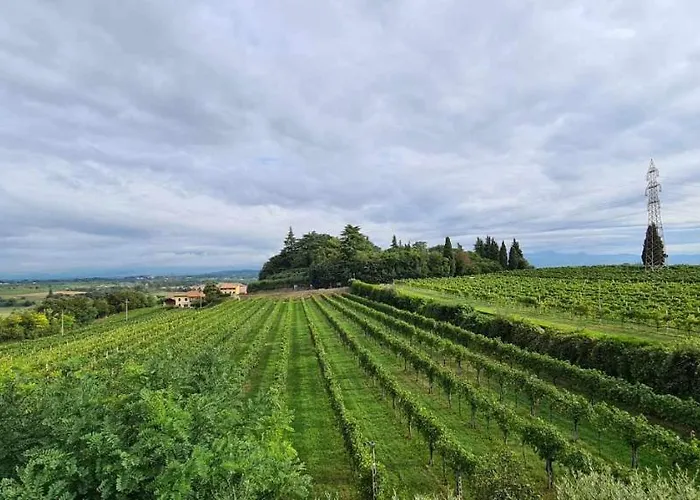Alojamento de Acomodação e Pequeno-almoço Corte Belvedere