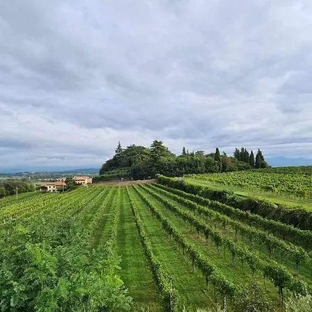 לינה וארוחת בוקר Corte Belvedere