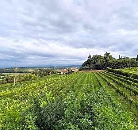 Corte Belvedere Bed & Breakfast 3*