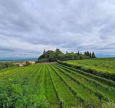 Corte Belvedere Bed & Breakfast Custoza